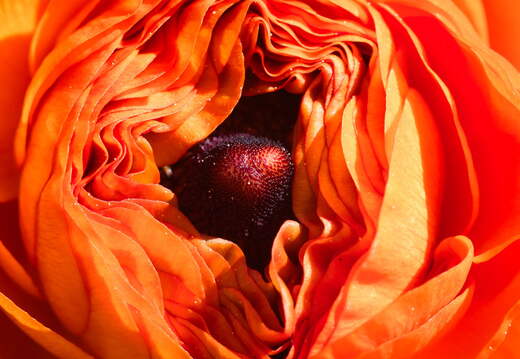 P4170016
