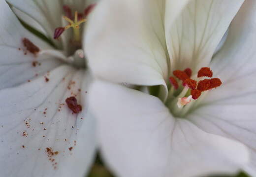 P7160057