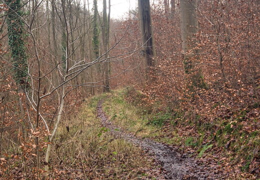 P1060005