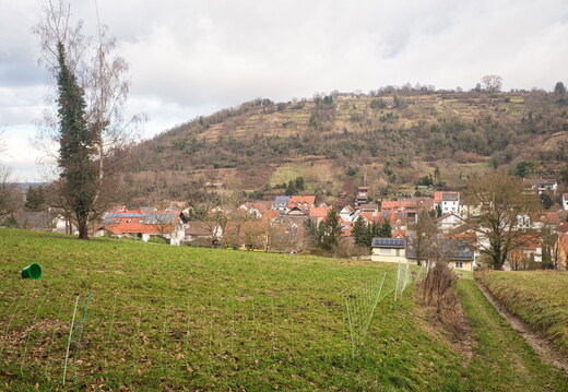 P1060009