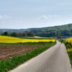 IMG 20220502 115716930 HDR