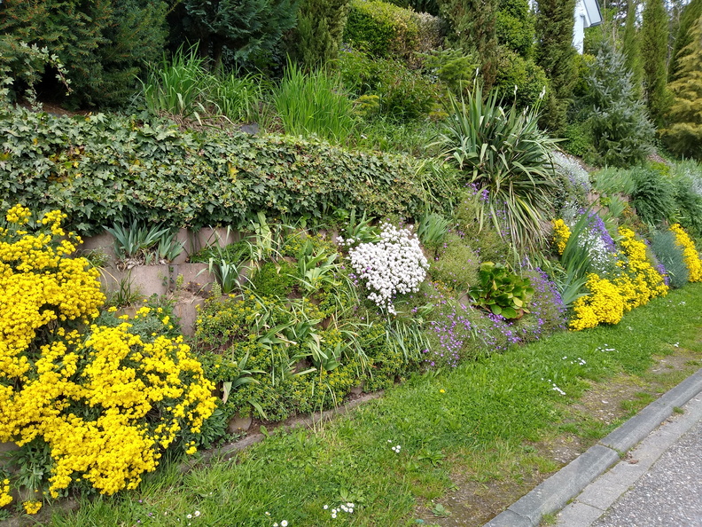 IMG 20220502 134924948 HDR