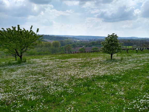 IMG 20220502 140509001 HDR