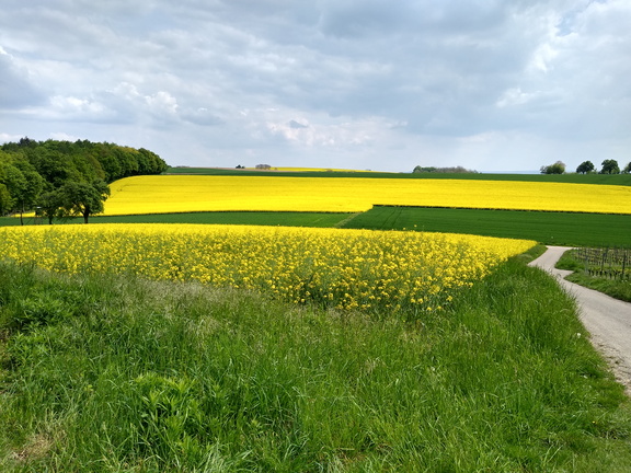 IMG 20220502 152059335 HDR