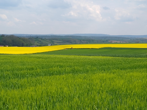 IMG 20220502 152857950