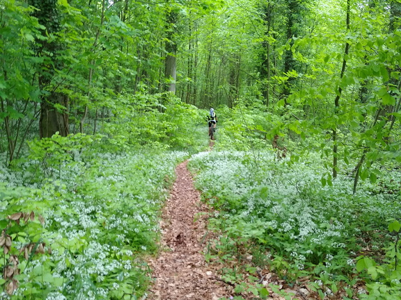 IMG 20220502 153905038