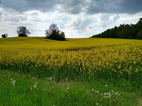 IMG 20220502 160638177 HDR