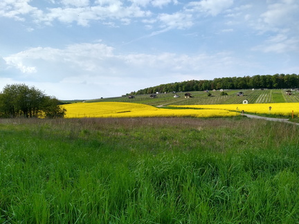 IMG 20220502 172513080 HDR