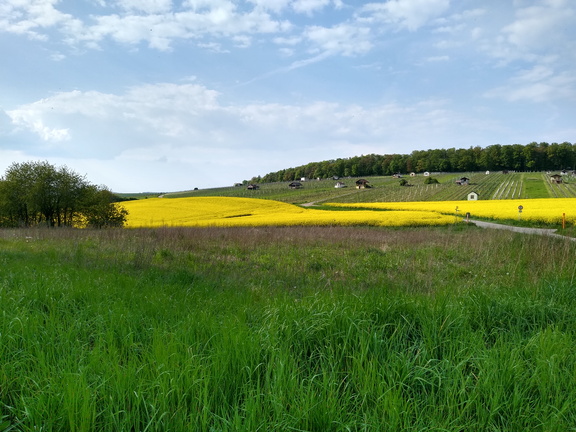 IMG 20220502 172513080 HDR