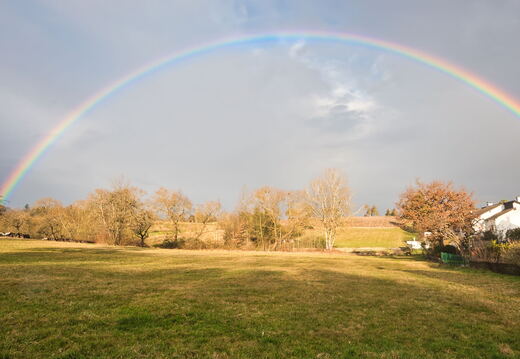 Regenbogen