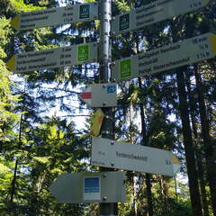 IMG-20220703-WA0003