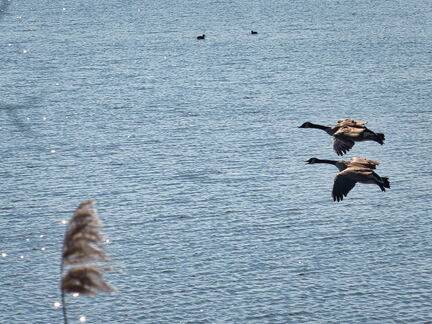 20220301193332-38d3ad78