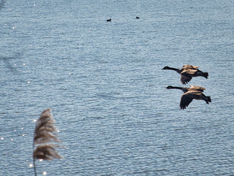 20220301193332-38d3ad78