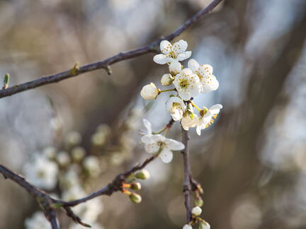 20220301193332-cbea7ee0