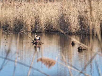 20220301193333-314645f0