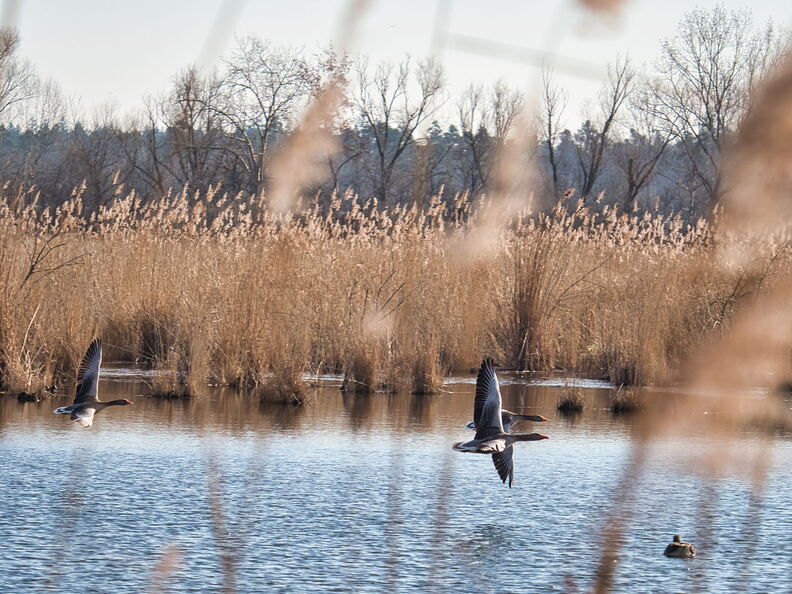 20220301193335-8a763193