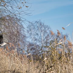 20220301193336-5d112c48