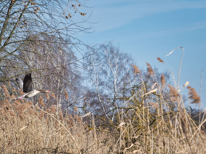 20220301193336-5d112c48