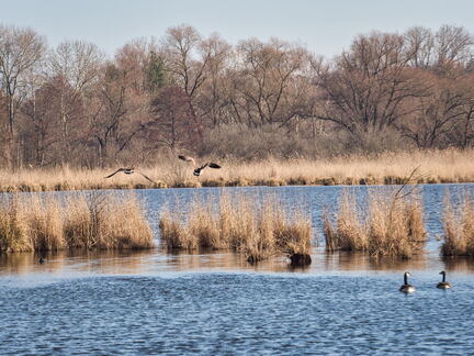 20220301193336-9ec27544