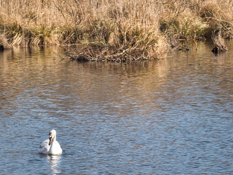 20220301193337-5f673a56