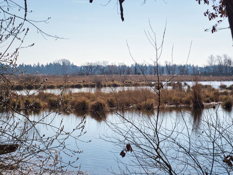 20220301193338-1ae85038