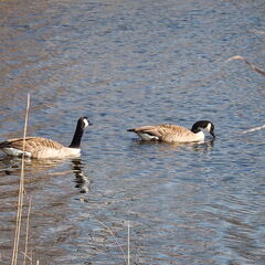 20220301193338-62feff59