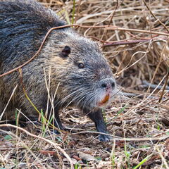 20220301193339-5f3d7c20