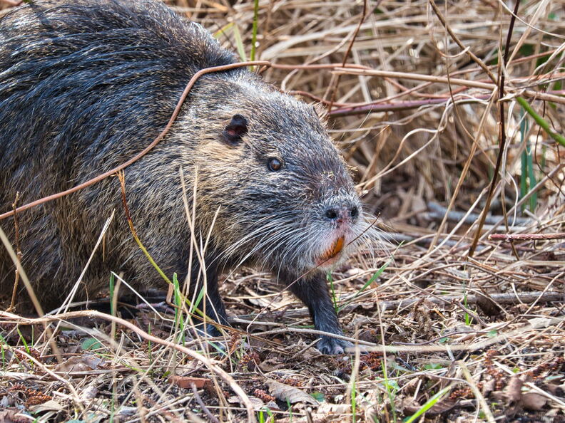 20220301193339-5f3d7c20