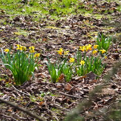 20220301193341-8eca2186