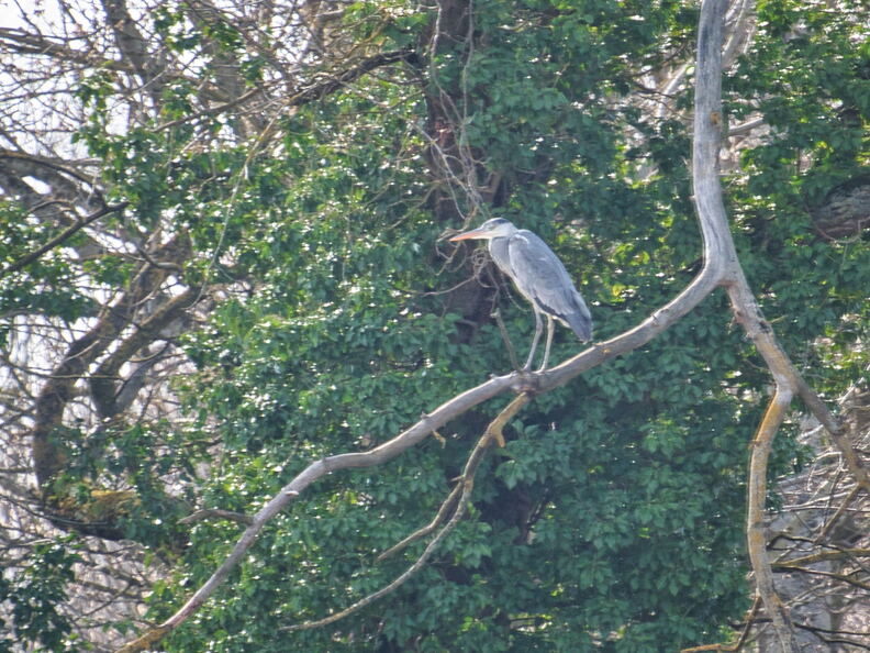 20220301193341-c82881cd