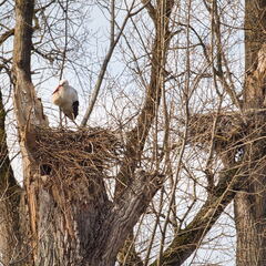 20220301193342-1997cb17