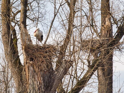 20220301193342-1997cb17