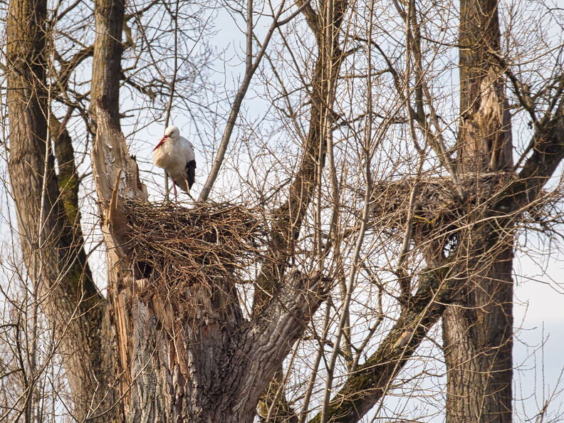 20220301193342-1997cb17