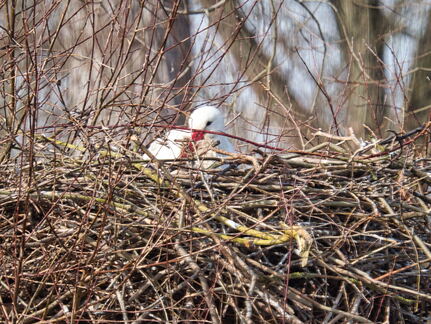 20220301193343-614b6923