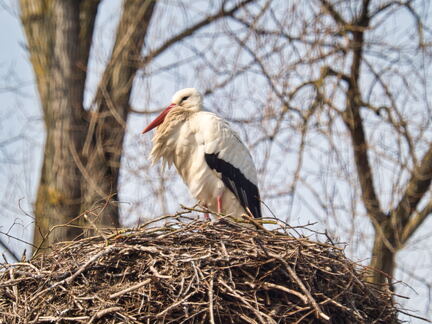 20220301193345-51ba63f0