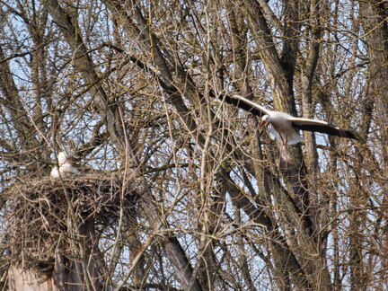 20220301193346-68655b42