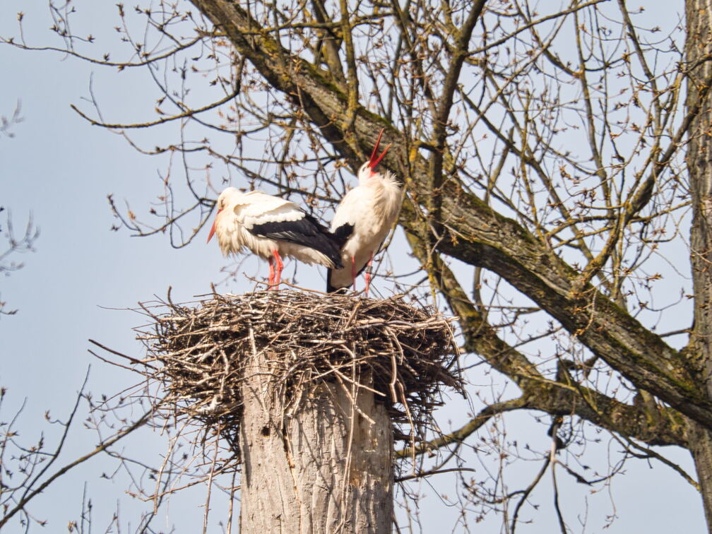 20220301193352-2e560552