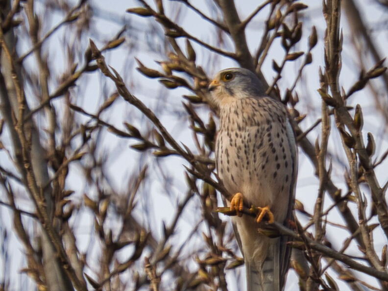 20220301193353-5e022b85