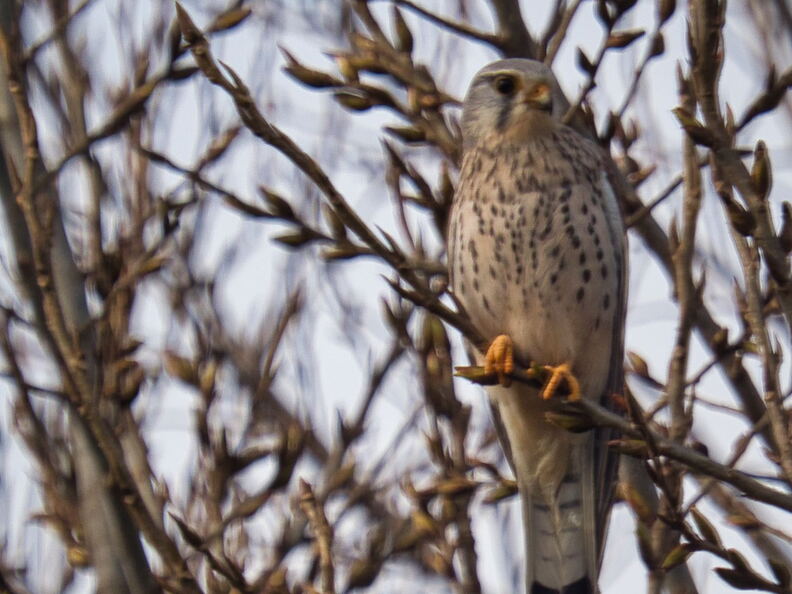 20220301193353-bdc1ffb3