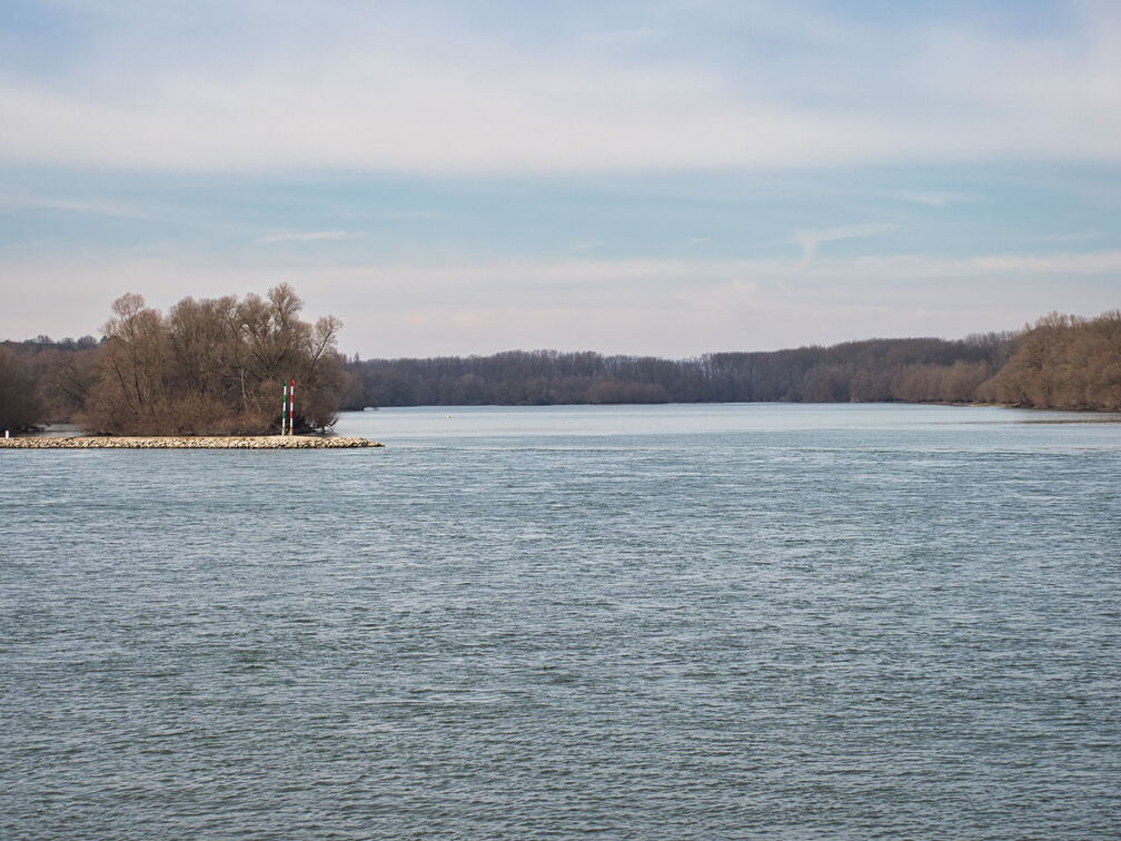 20220301193354-bb74c995