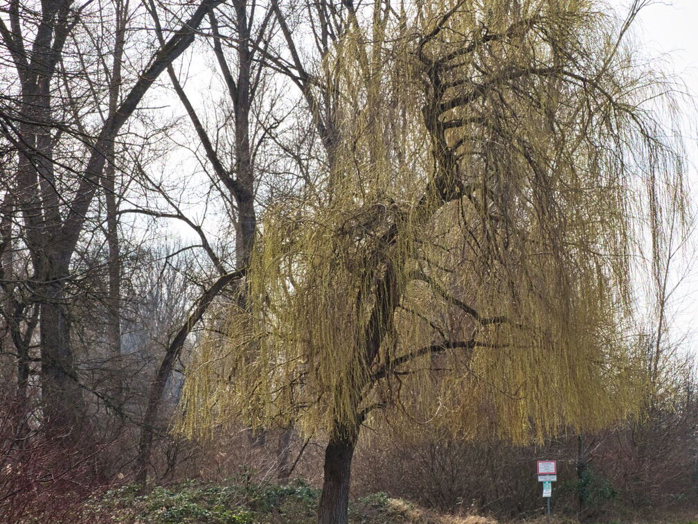 20220301193355-8c10ef34