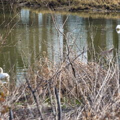 20220301193356-e9380d4e