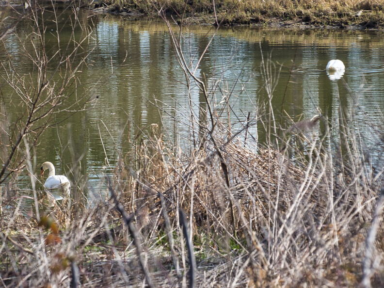 20220301193356-e9380d4e