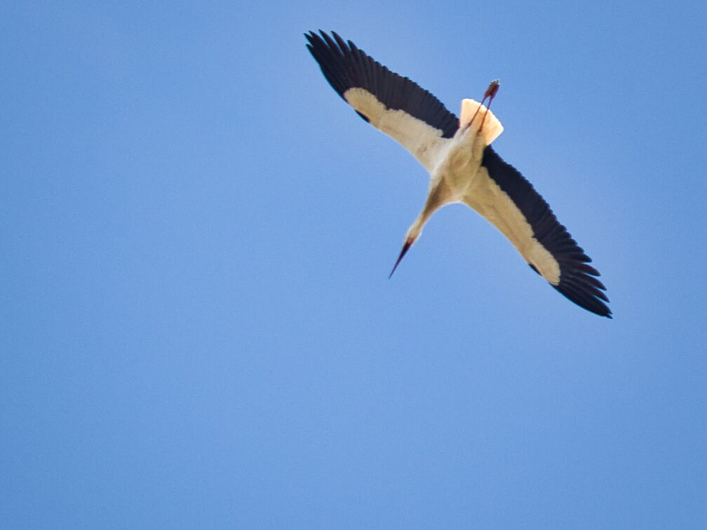 20220301193359-50f782b5