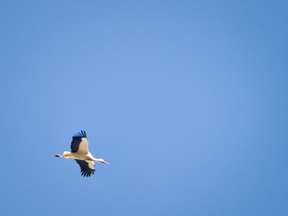 20220301193359-8e9daa41