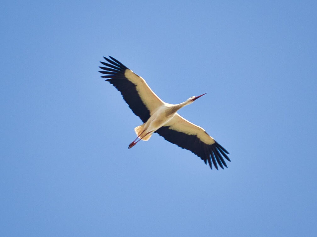 20220301193400-32baf264