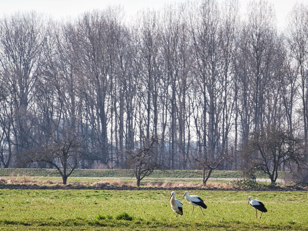 20220301193401-3b7442a6