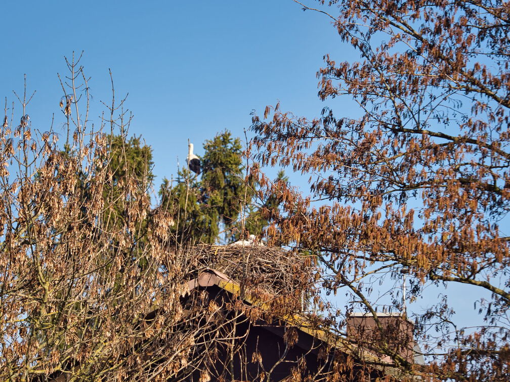 20220301193402-30d2ce8b