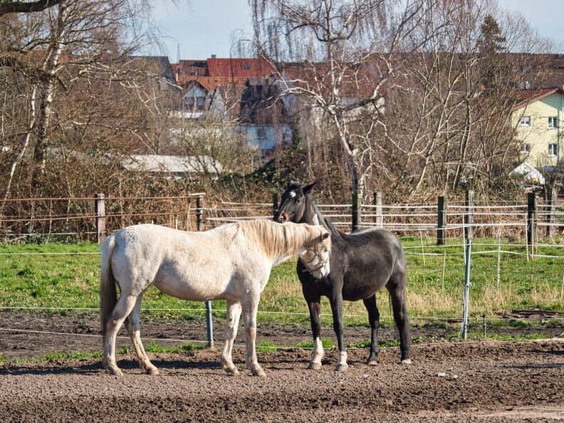 20220301193402-61ca5f77