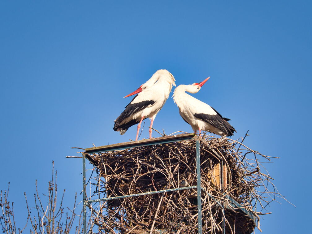 20220301193403-640f0d90